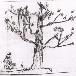 Black and white pencil sketch of a person sitting on the ground beside a large, leafy tree with a drink container nearby.